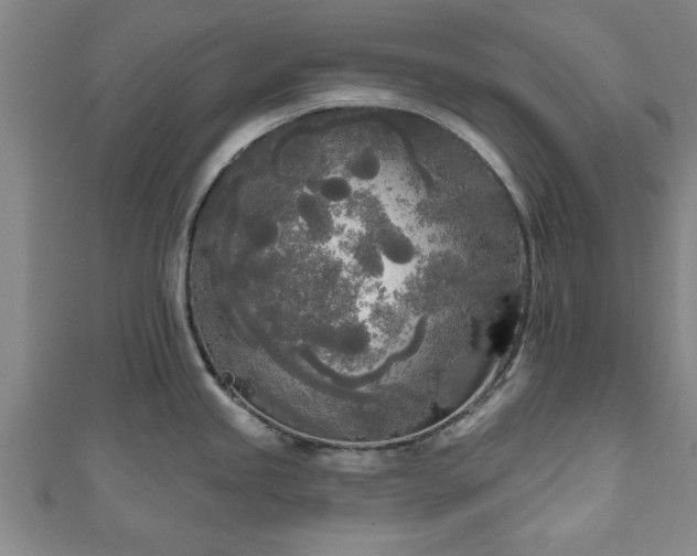 X0000111171245200907081208