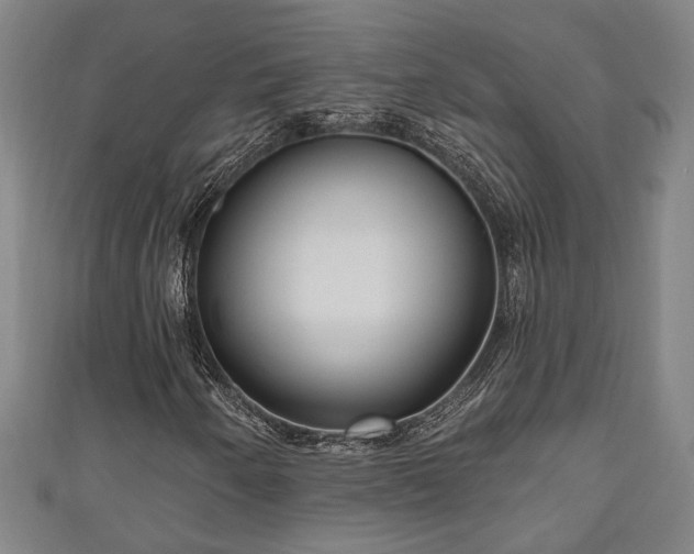 X0000111171250200907081207