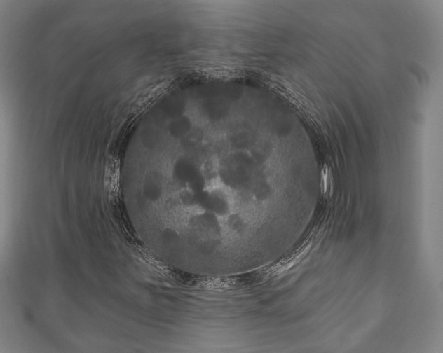 X0000111171251200907081207