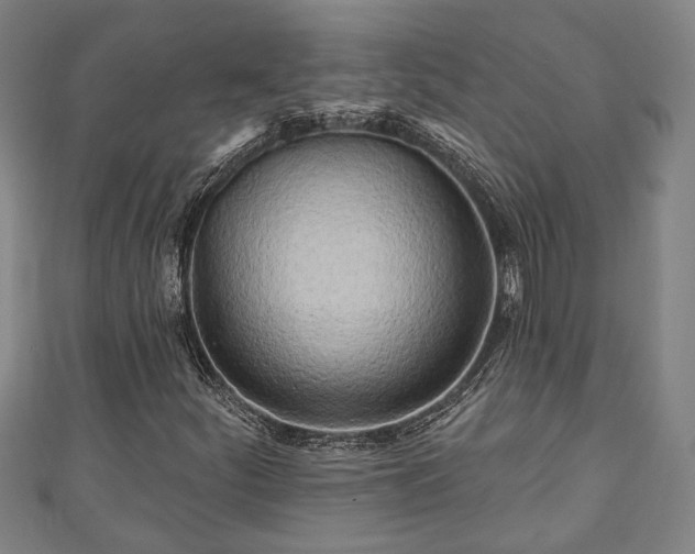 X0000111171252200907081207