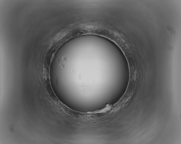 X0000111171253200907081207