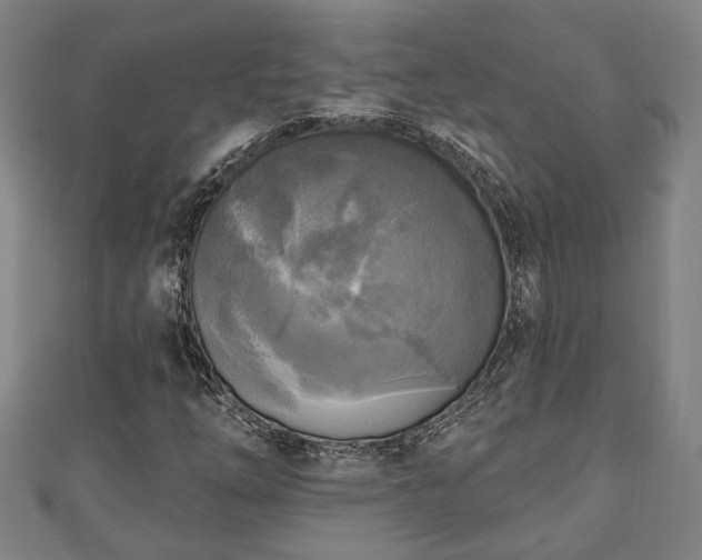 X0000111171254200907081207