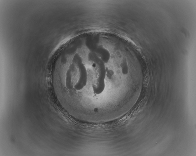 X0000111171255200907081207