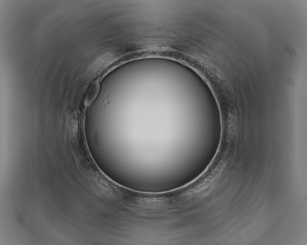 X0000111171257200907081207