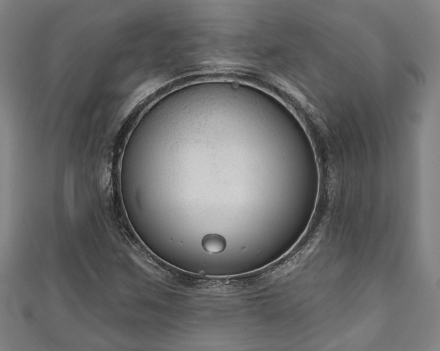 X0000111171259200907081207