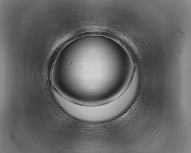 X0000111171261200907081207