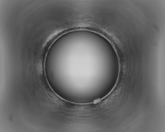 X0000111171262200907081207