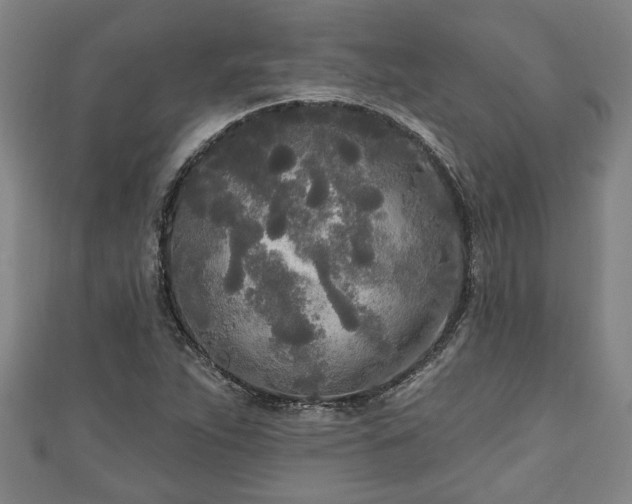 X0000111171263200907081207