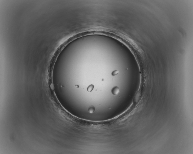 X0000111171264200907081207