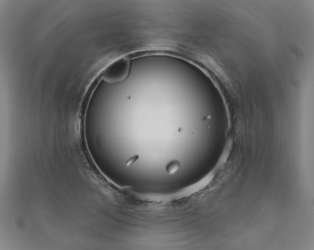 X0000111171268200907081207