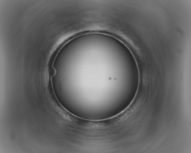 X0000111171270200907081207