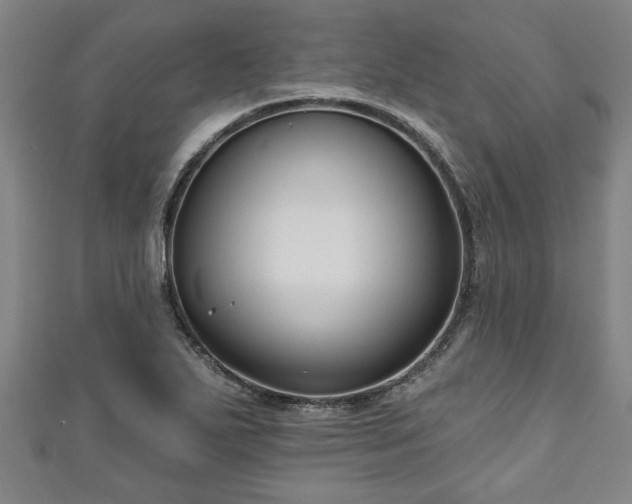 X0000111171271200907081207