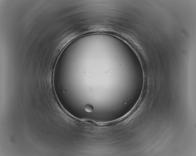 X0000111171273200907081207