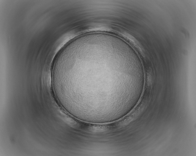 X0000111171274200907081207