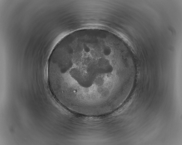 X0000111171275200907081207