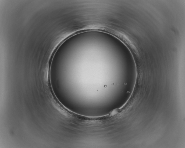 X0000111171276200907081207