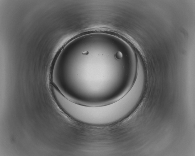 X0000111171277200907081207