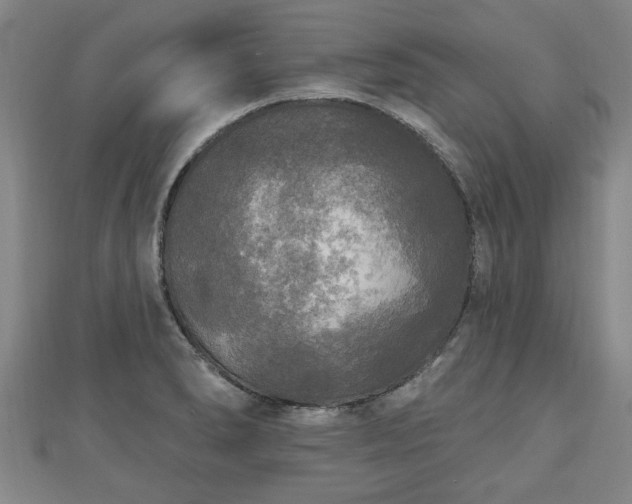 X0000111171278200907081207