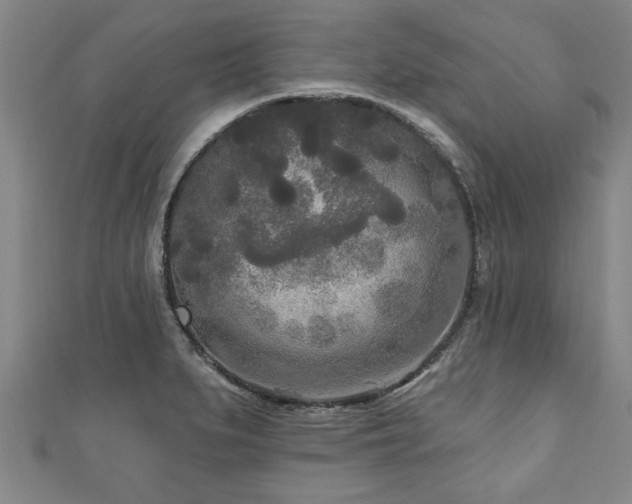 X0000111171279200907081207