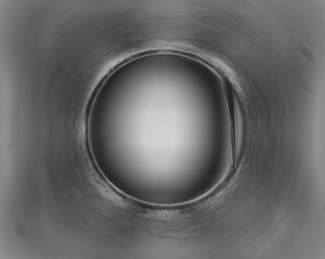 X0000111171280200907081207