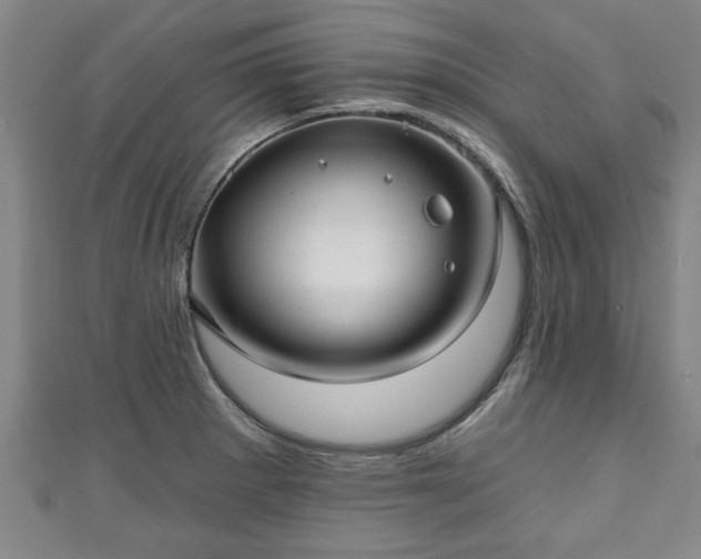 X0000111171281200907081207