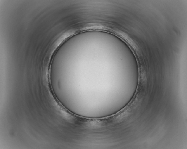 X0000111171282200907081207