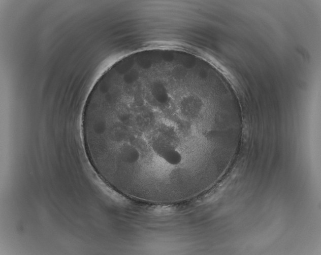 X0000111171283200907081207