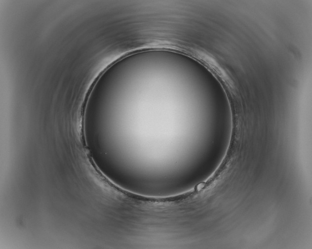 X0000111171284200907081207