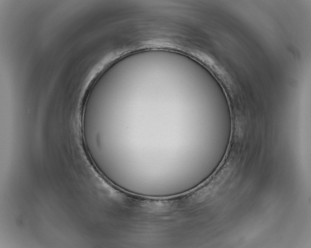 X0000111171286200907081207