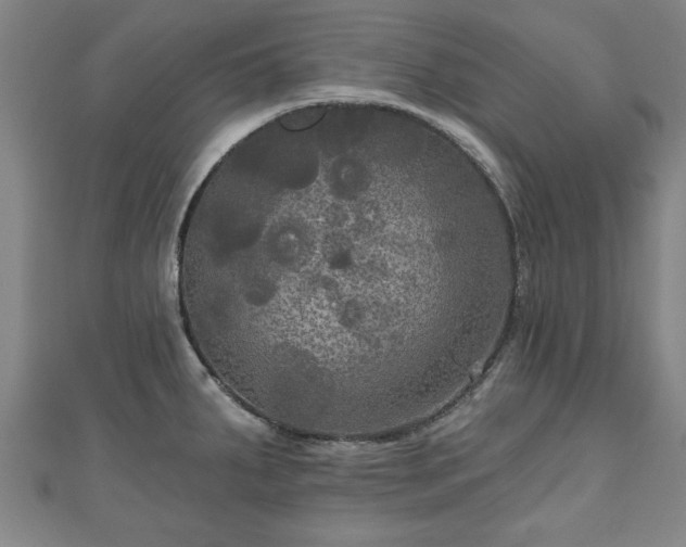 X0000111171287200907081207