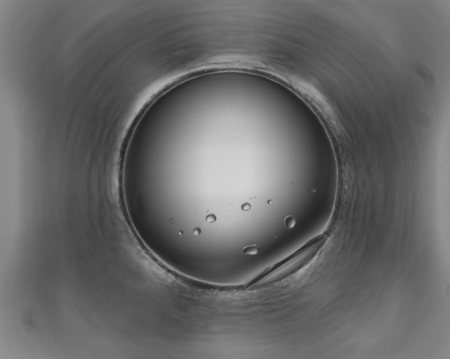 X0000111171288200907081207