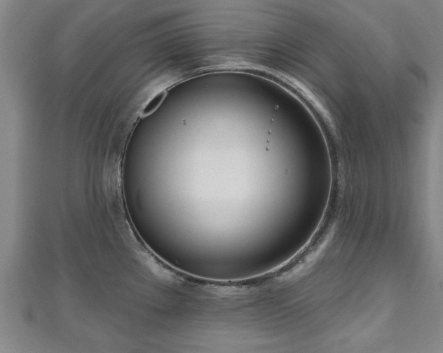 X0000111171289200907081207