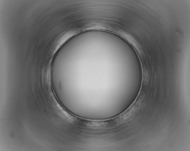 X0000111171290200907081207