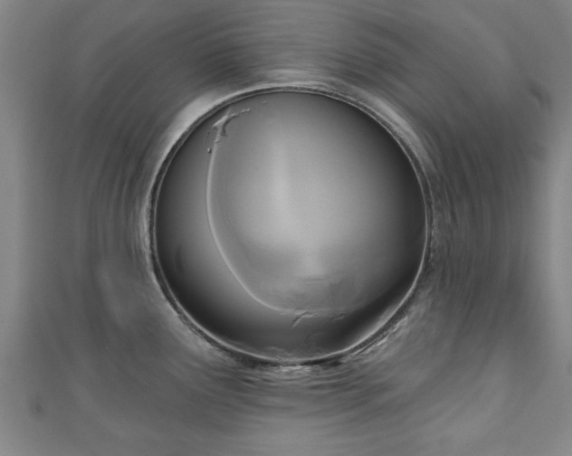 X0000111171291200907081207