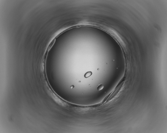 X0000111171292200907081207