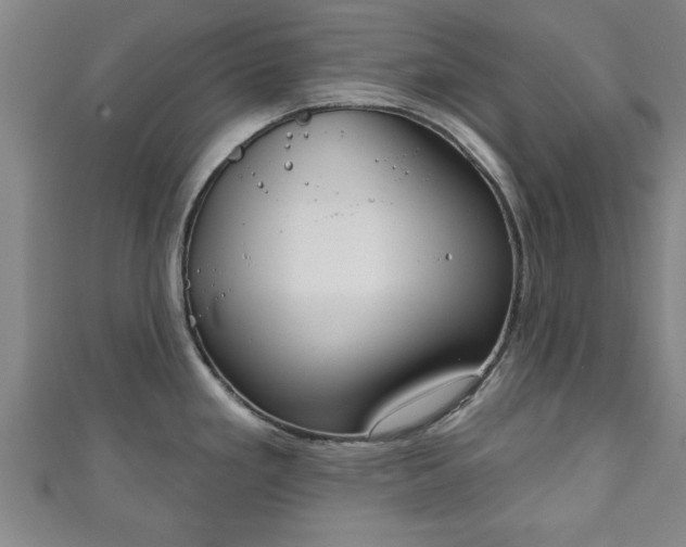 X0000111171293200907081207