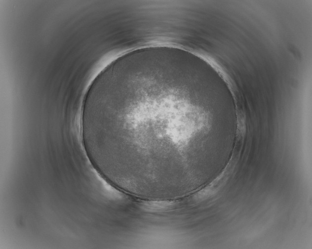 X0000111171294200907081207