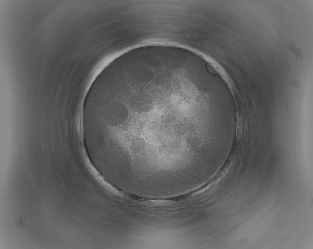 X0000111171295200907081207