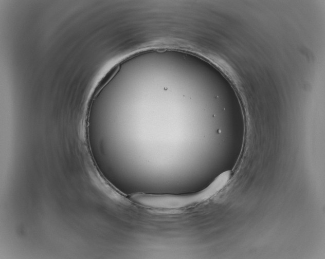 X0000111171296200907081207