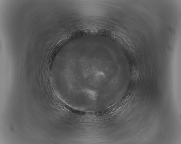 X0000111171297200907081206