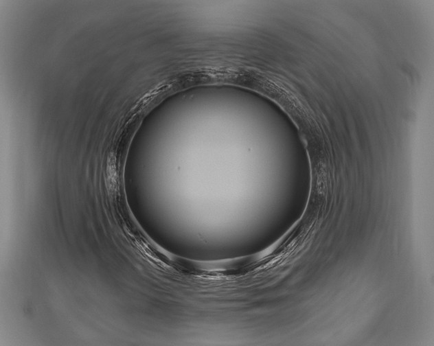 X0000111171298200907081206