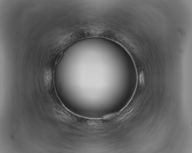 X0000111171299200907081206