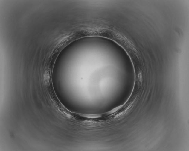 X0000111171300200907081206