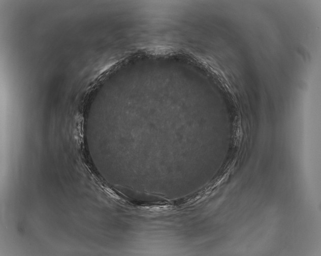 X0000111171301200907081206