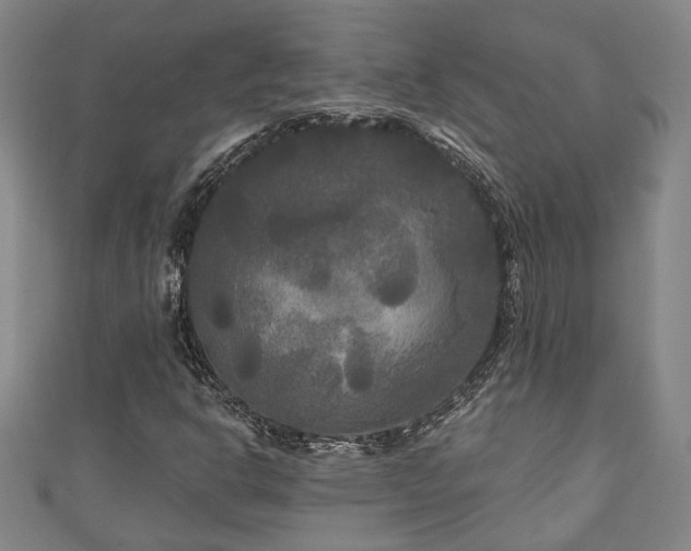 X0000111171302200907081206