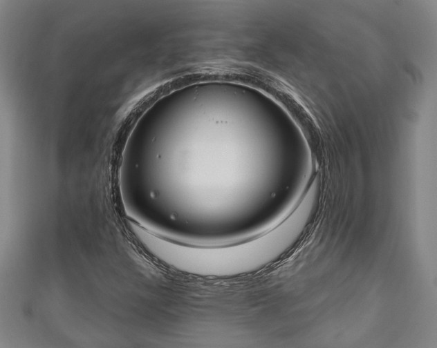 X0000111171304200907081206