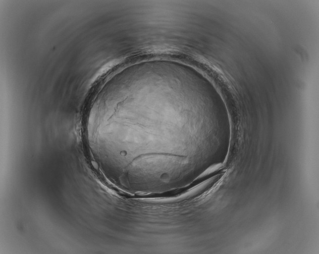 X0000111171306200907081206