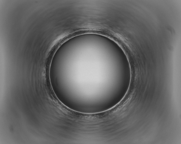 X0000111171307200907081206