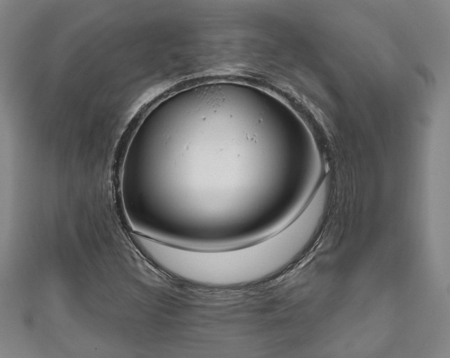 X0000111171308200907081206