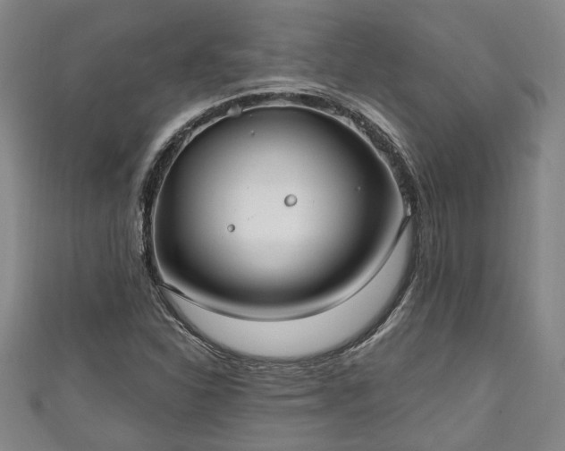 X0000111171310200907081206